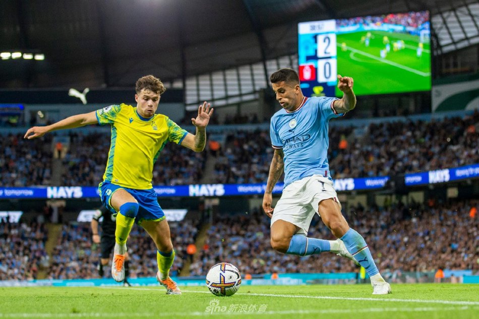 的选手交手 的选手交手